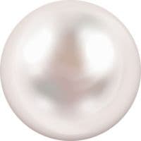 TikTok Account - fionaariesya