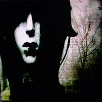 TikTok Account - bolnayaps1h1ka