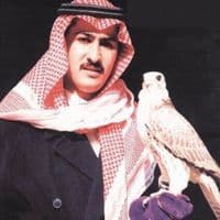 TikTok Account - p10.p7