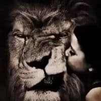 TikTok Account - luis_fer80