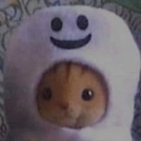 TikTok Account - fr1__z