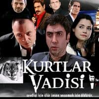 TikTok Account - kurtlarvadisi313