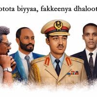 TikTok Account - dachoo823