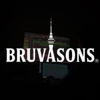 TikTok Account - bruvasons