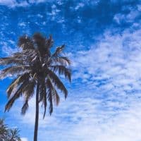 TikTok Account - sosolr._