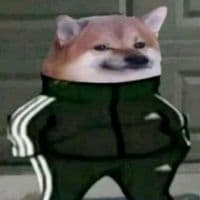 TikTok Account - _cheporoflam_