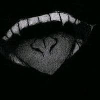 TikTok Account - dragon.monarch70