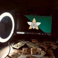 TikTok Account - w4ny0f0rce