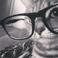 TikTok Account - zy_123_1