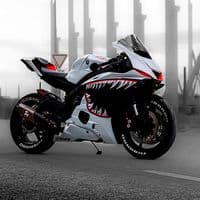 TikTok Account - oscarmiculax69