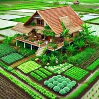 TikTok Account - nguyenthibichtram98