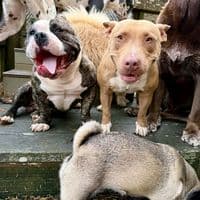 TikTok Account - leeasher422