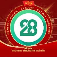 theanh28entertainment