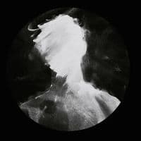 TikTok Account - 04h.44mm