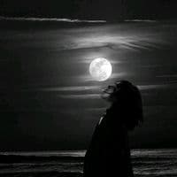 TikTok Account - __videos04__