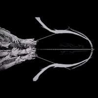 TikTok Account - moooooha_23