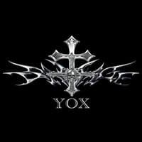 TikTok Account - yuud0309