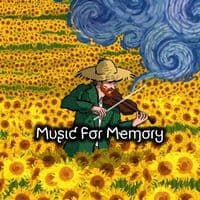 TikTok Account - memory2055