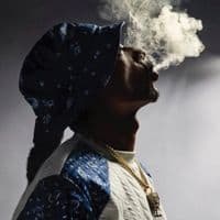 TikTok Account - _music_day