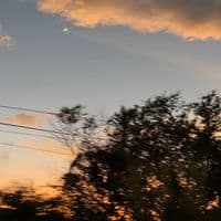 TikTok Account - fan.de_azukyninagalactic