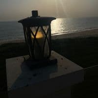 TikTok Account - enzi_zilee