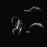 TikTok Account - saddiq356