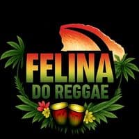 TikTok Account - felinadoreggaef