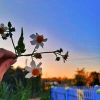 TikTok Account - lovelyday_ttt