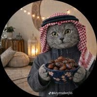 TikTok Account - abdakareemgamar