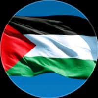 TikTok Account - palestine_rill