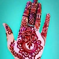 TikTok Account - s.k3996