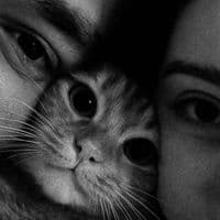 TikTok Account - hayaw_x