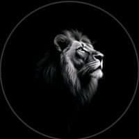 TikTok Account - arslon32_72