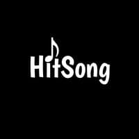 TikTok Account - hitsonglyrics_1