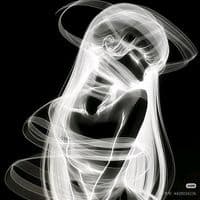 TikTok Account - y.limahxz