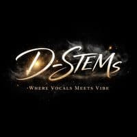 TikTok Account - d_stemsrecord