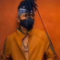 TikTok Account - zepequenio5gmail.com