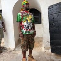 TikTok Account - dancehallwelove