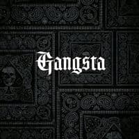 TikTok Account - charles_vilaverde77