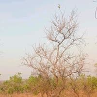 TikTok Account - laatanoon