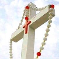 TikTok Account - odettabonag