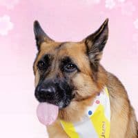 TikTok Account - jupithegsd