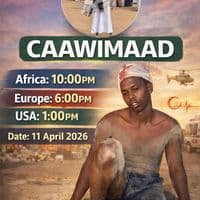 TikTok Account - wilkihoyoasli