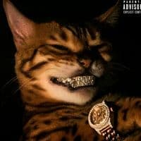 TikTok Account - lil_hywan.mv