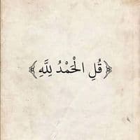 TikTok Account - 15nm9