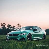 TikTok Account - lyricalworld82