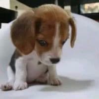 TikTok Account - ymmorgbi