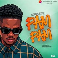 TikTok Account - kobazzie