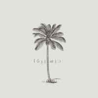 TikTok Account - ideserva