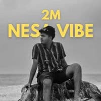 TikTok Account - nesavibemusic